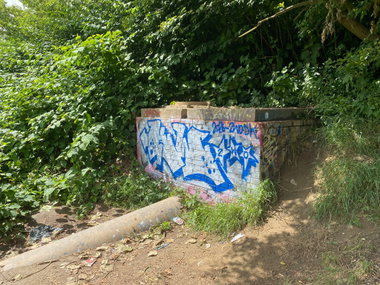 Graffiti Bombing - Photo by kwiatXwhoyou
