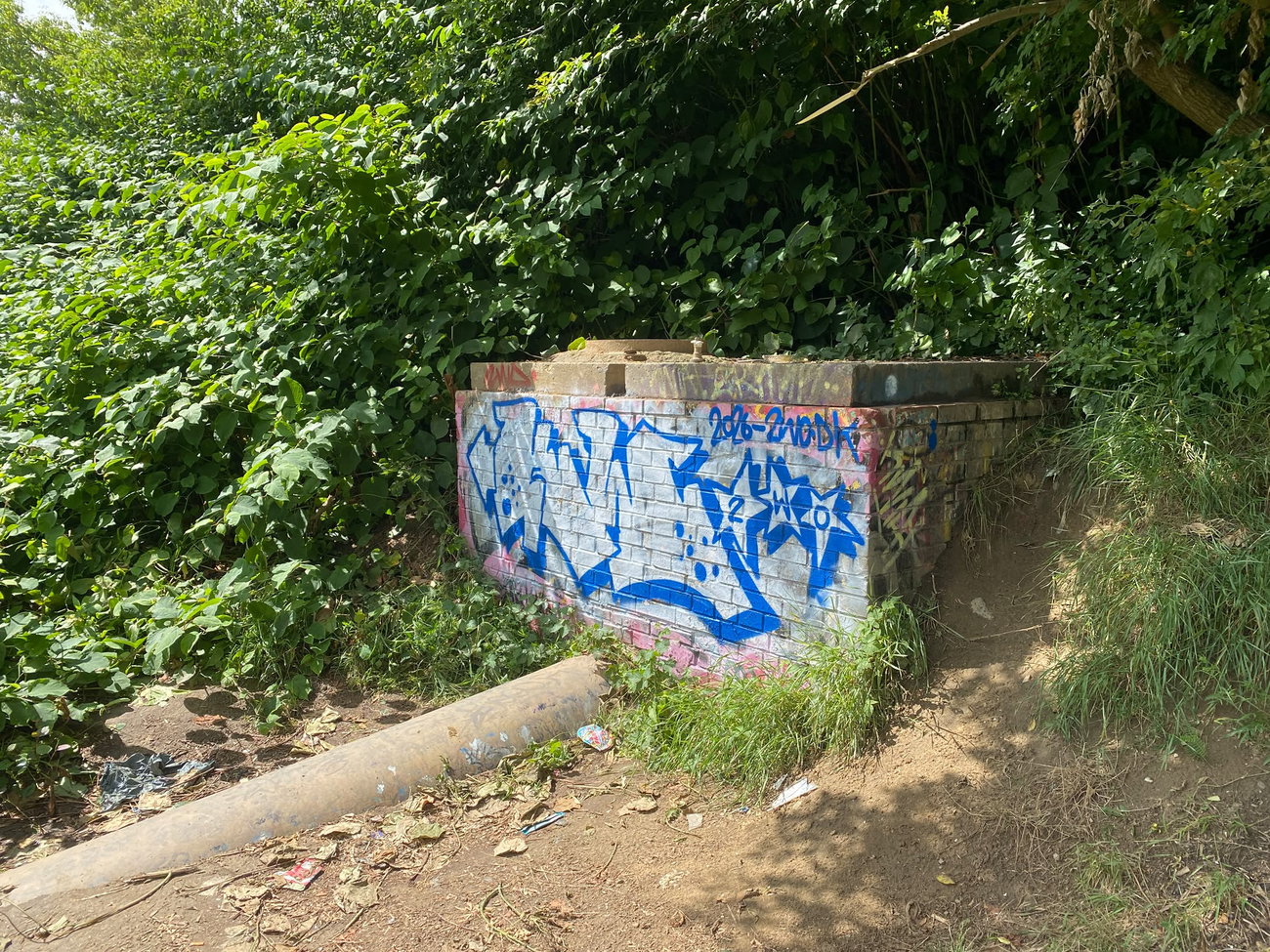 Graffiti Bombing - Photo by kwiatXwhoyou
