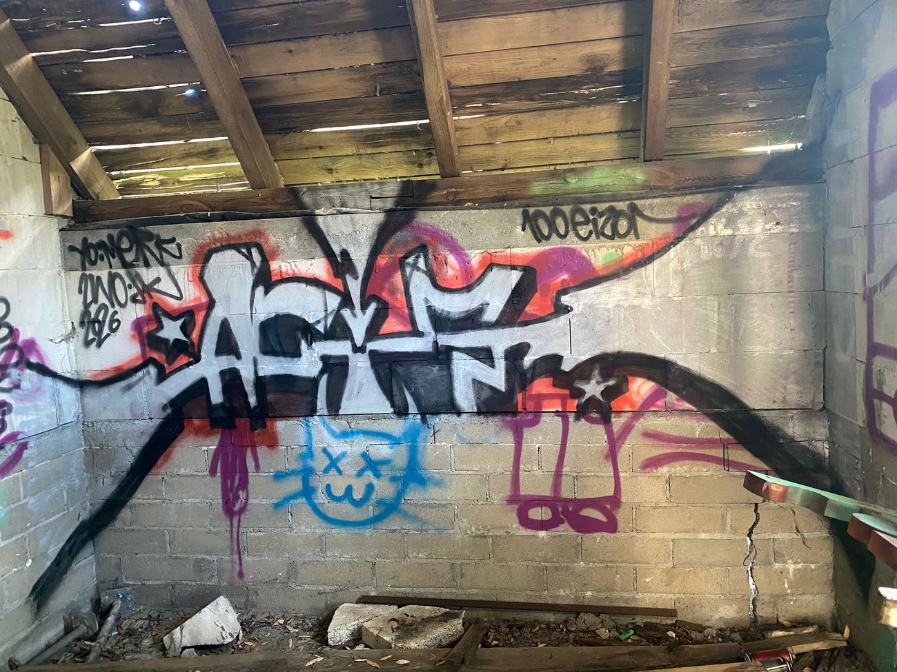 Graffiti Bombing - Photo by kwiatXwhoyou