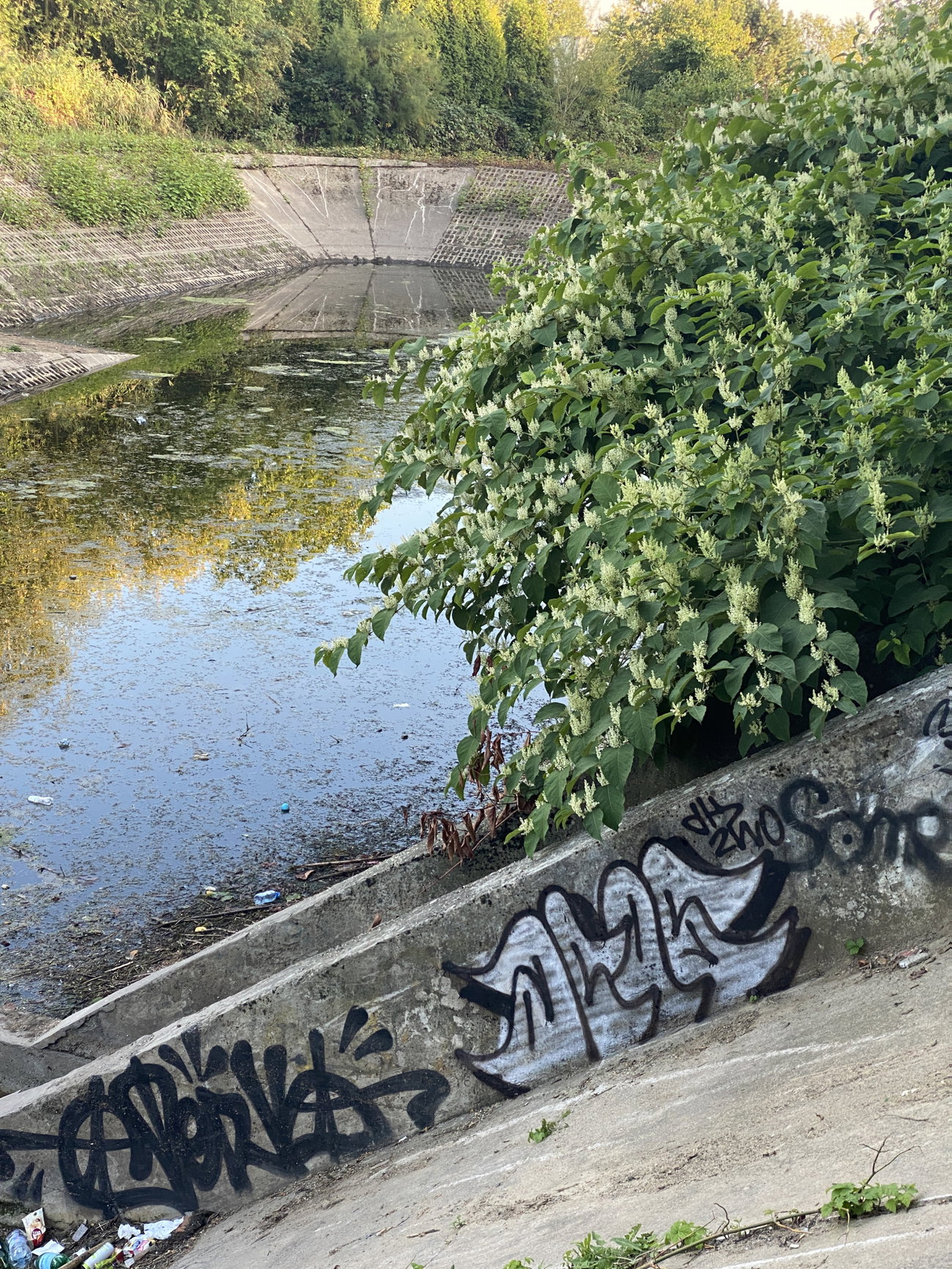 Graffiti Bombing in Szczecin - Photo by kwiatXwhoyou (2026)