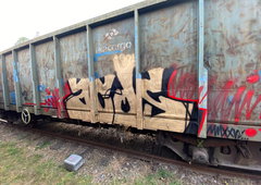 Photo #252327 by iobe1