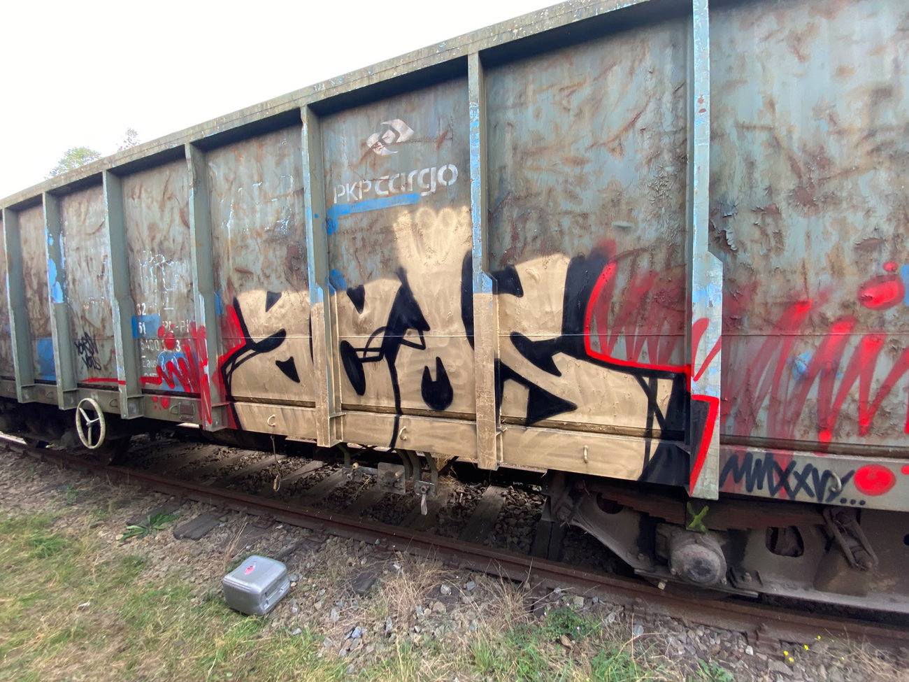 Graffiti Train - Photo by kwiatXwhoyou - ZWWBSC