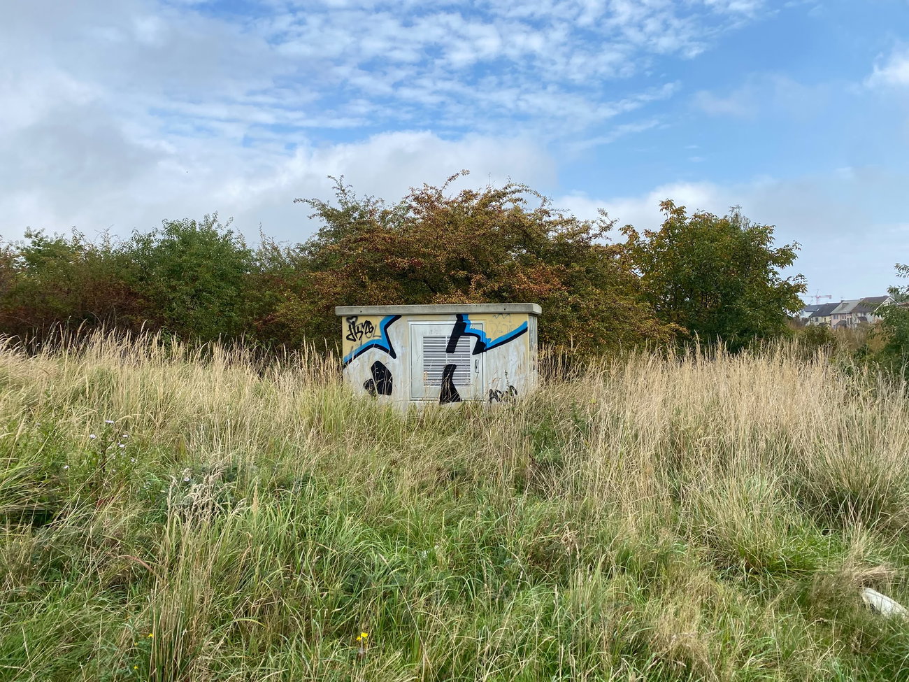 Graffiti Bombing - Photo by kwiatXwhoyou