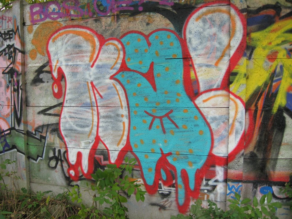 Graffiti Wall - Photo by laborant