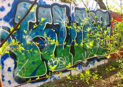 Photo #130060 by BeKaeS