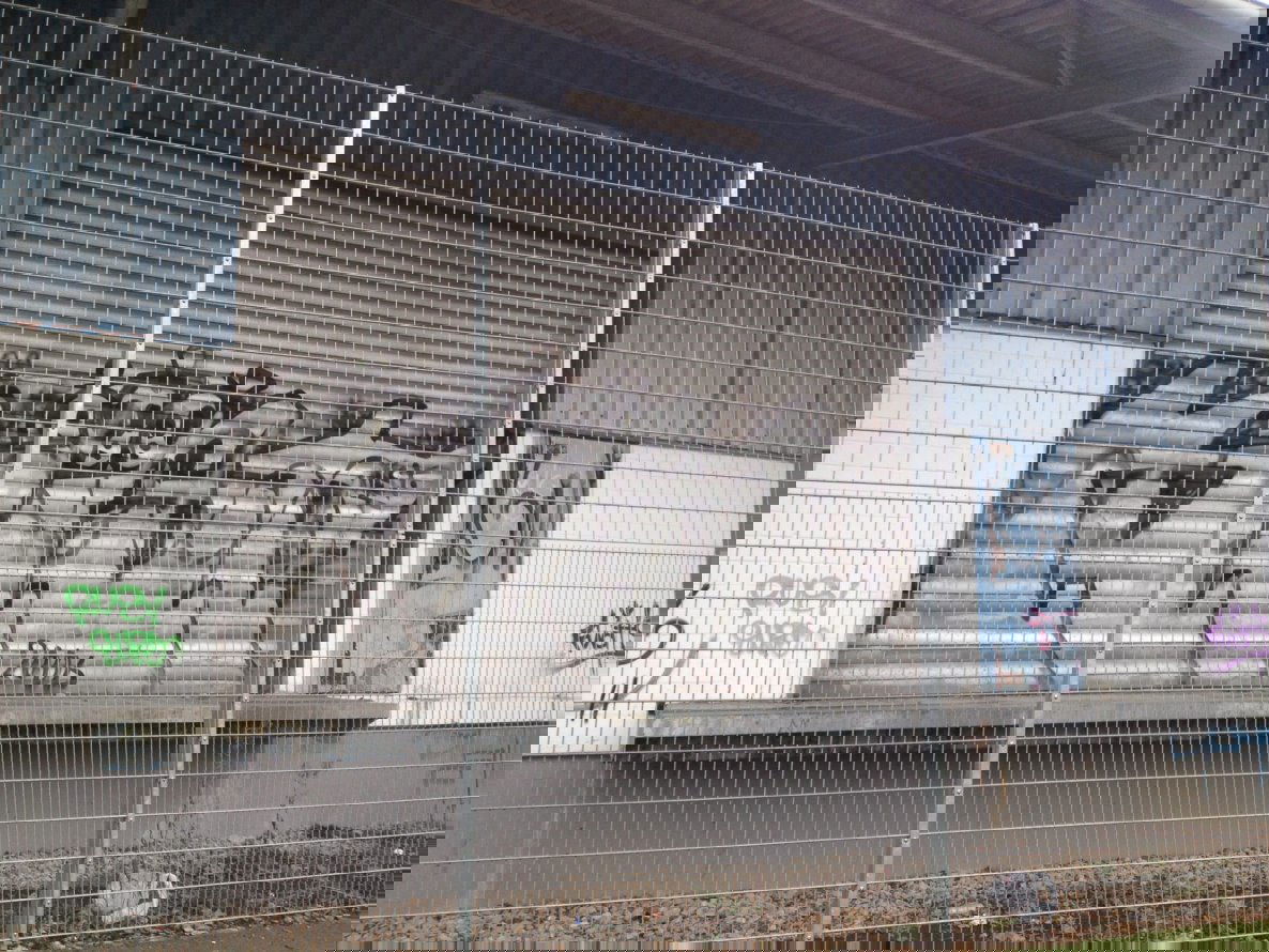 Graffiti Wall - Photo by lackgeruch - kist, solingen, 2006