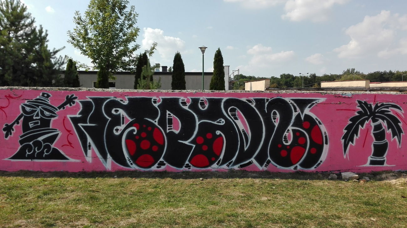 Graffiti Wall - Photo by las84r (2016)