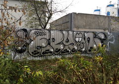 Photo #215251 by Akpe