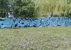 Photo #209137 by MENO