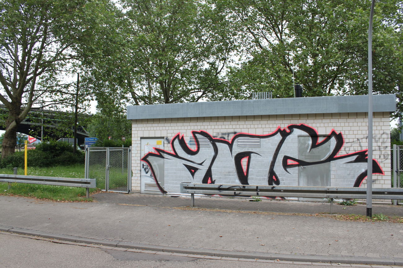 Graffiti Bombing - Photo by lausbub