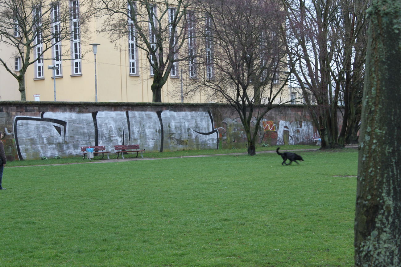 Graffiti Bombing - Photo by lausbub - ANC, SAARLAND (1999)