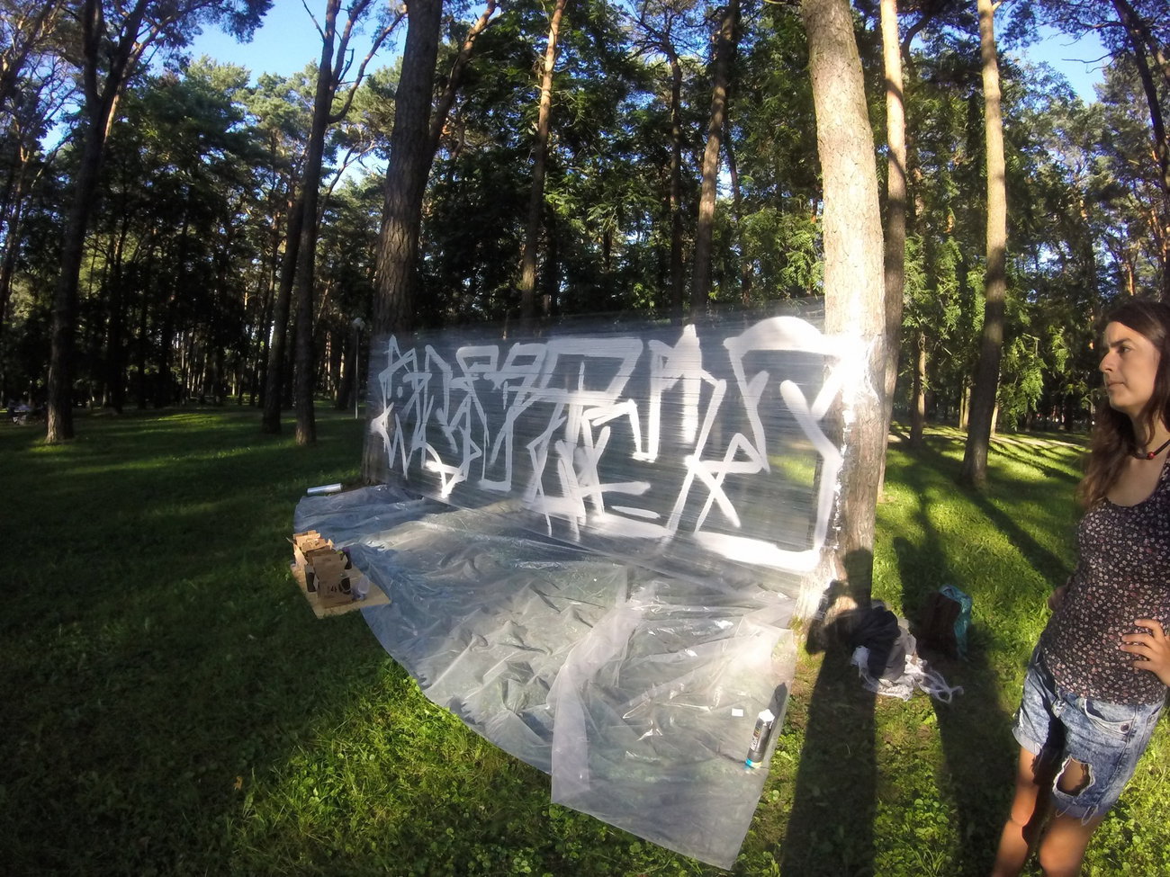 Graffiti Wall - Photo by ldkdl (2016)