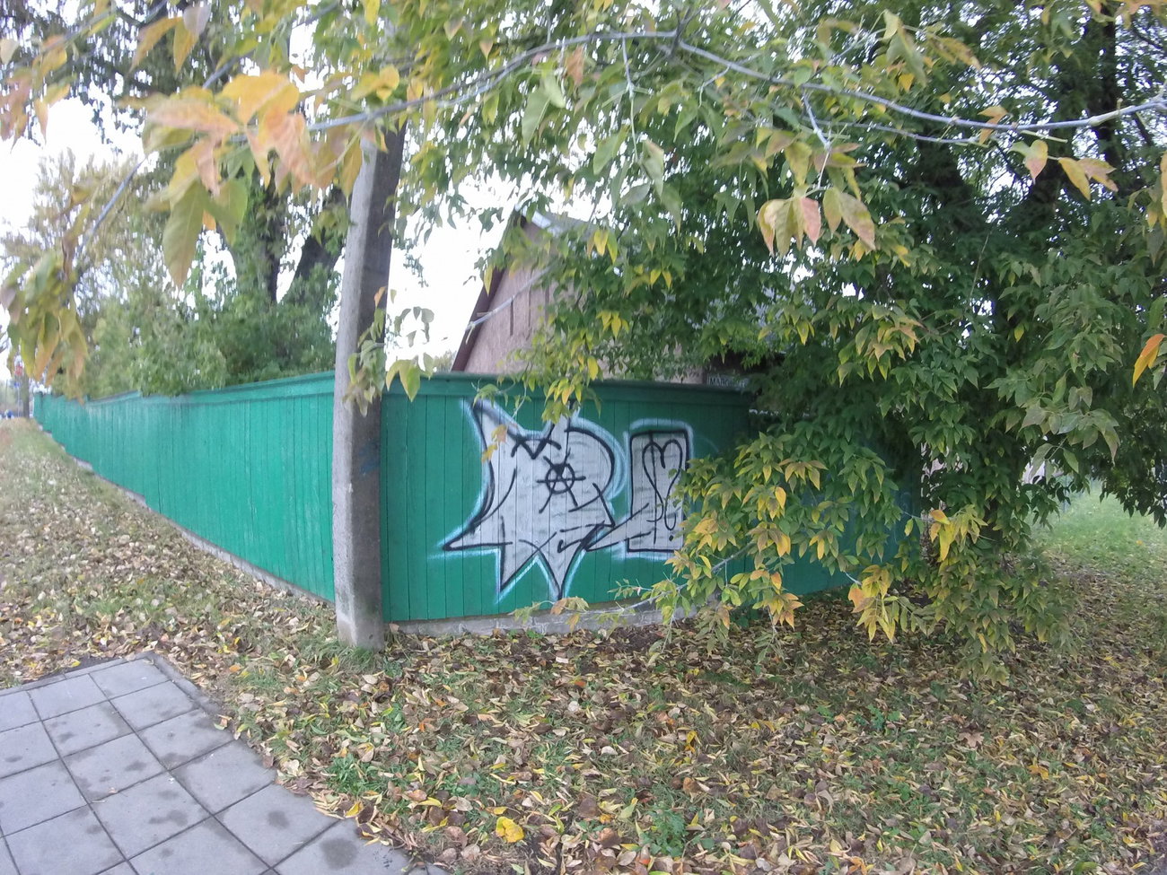 Graffiti Wall - Photo by ldkdl