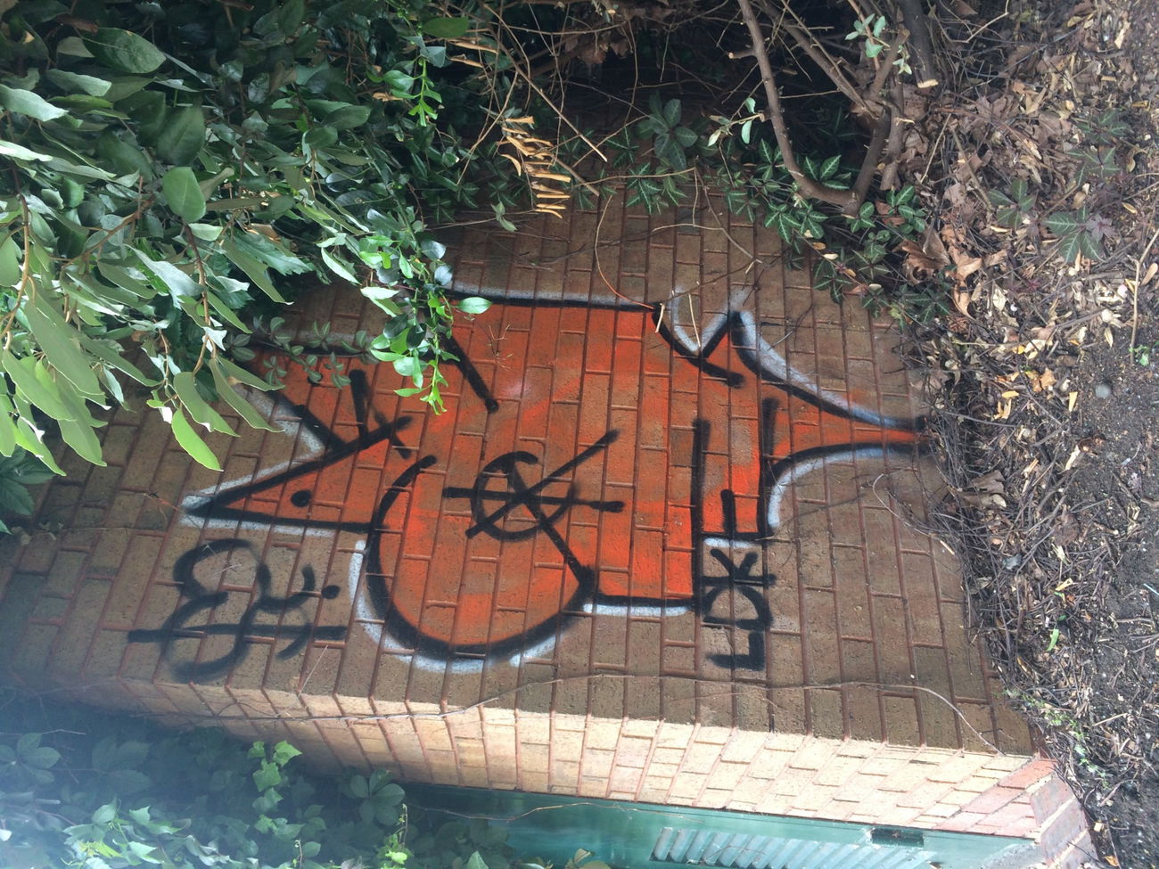 Graffiti Wall - Photo by ldkdl