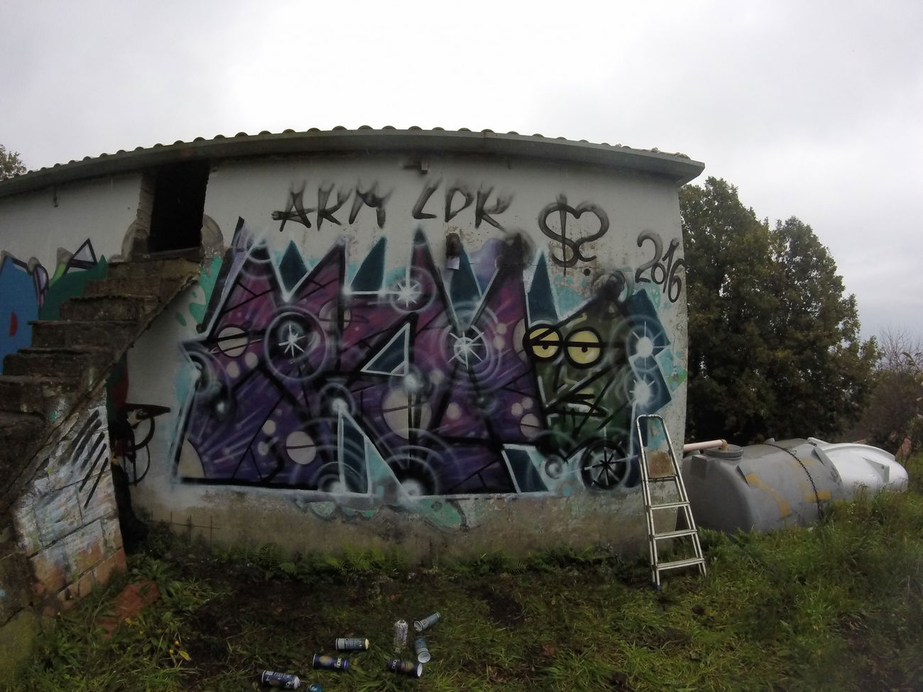 Graffiti Bombing - Photo by ldkdl