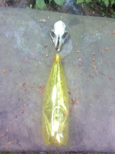 Graffiti Wall - Photo by ldkdl