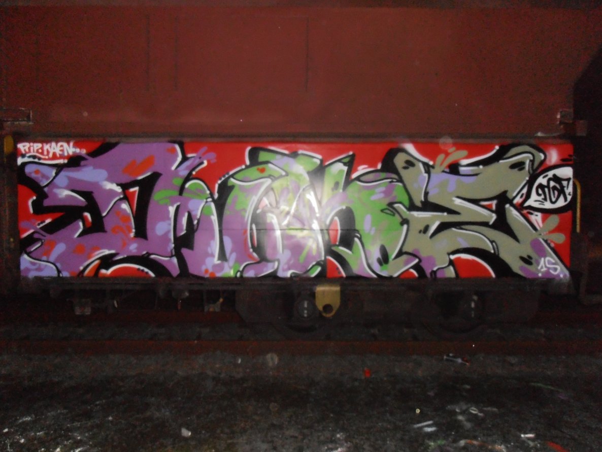 Graffiti Train - Photo by lecim