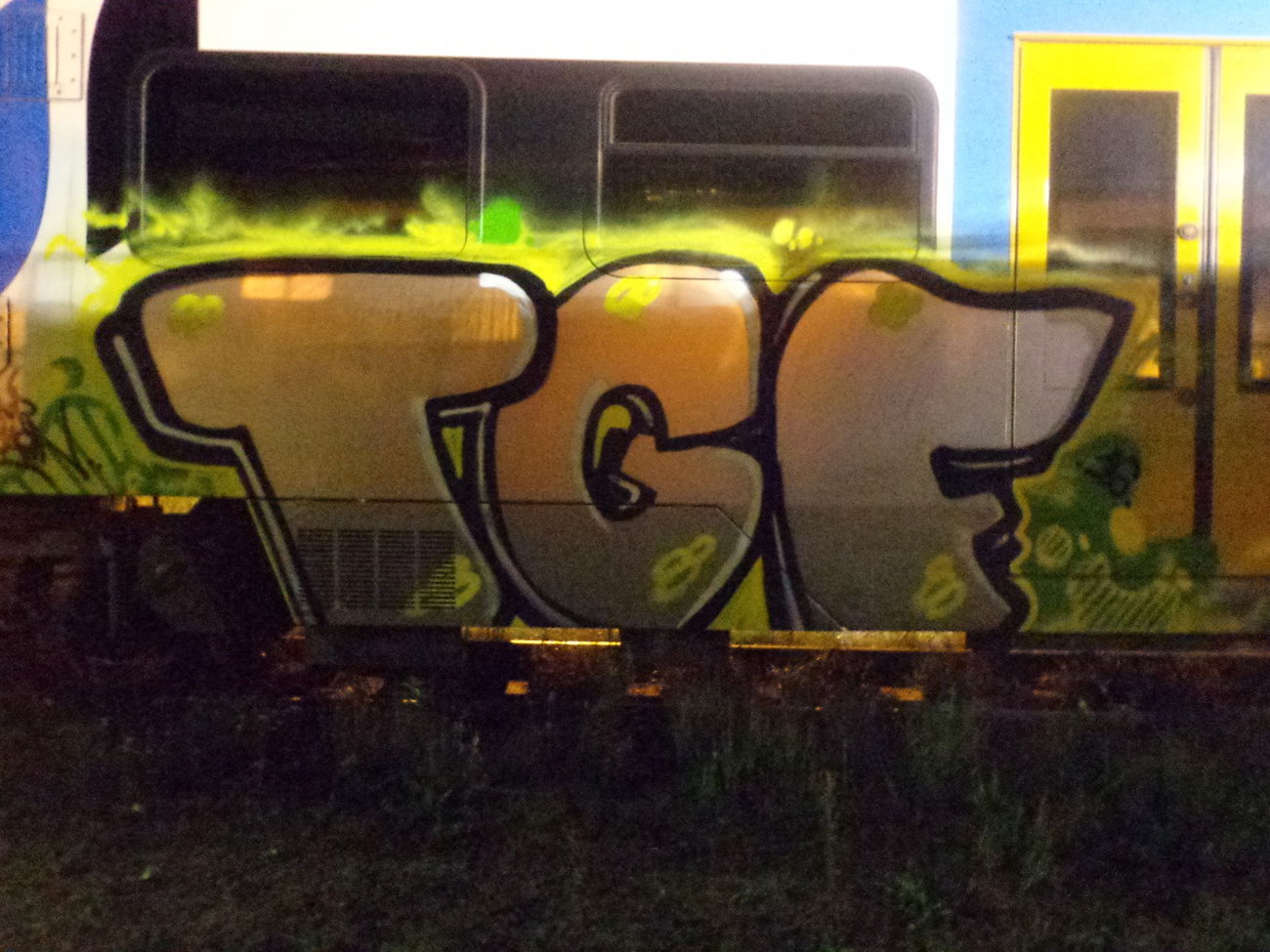 Graffiti Train - Photo by lecim (2016)