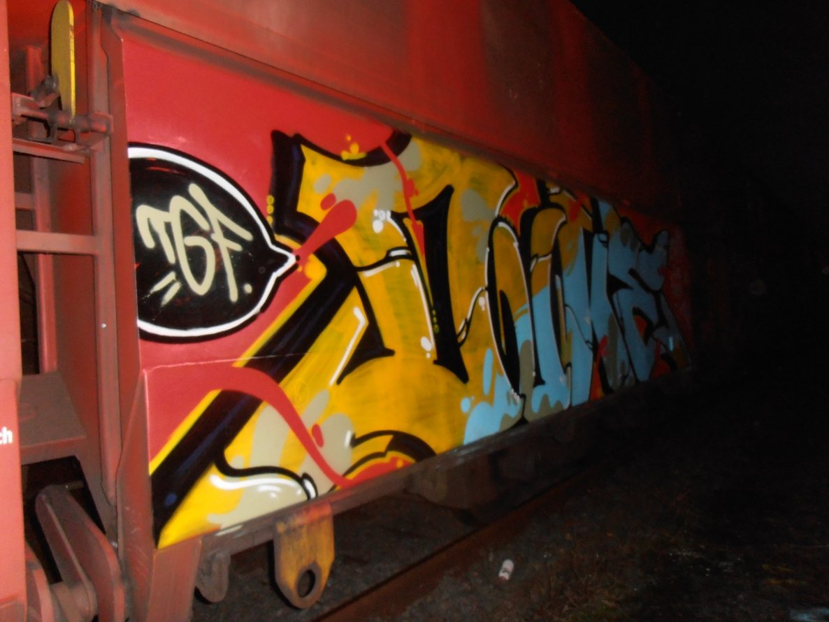 Graffiti Train - Photo by lecim