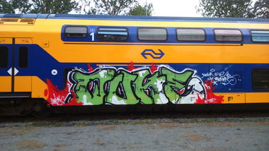 Graffiti Train - Photo by lecim