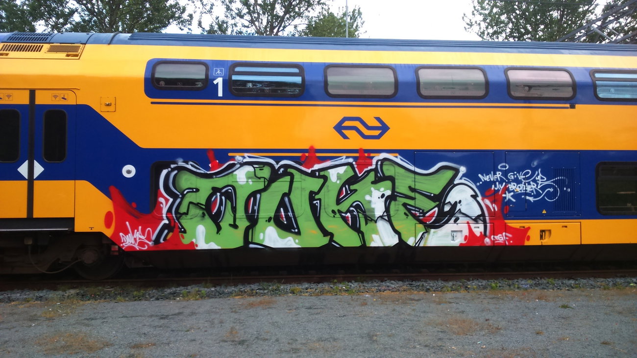 Graffiti Train - Photo by lecim