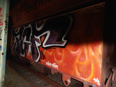 Graffiti Train - Photo by lecim