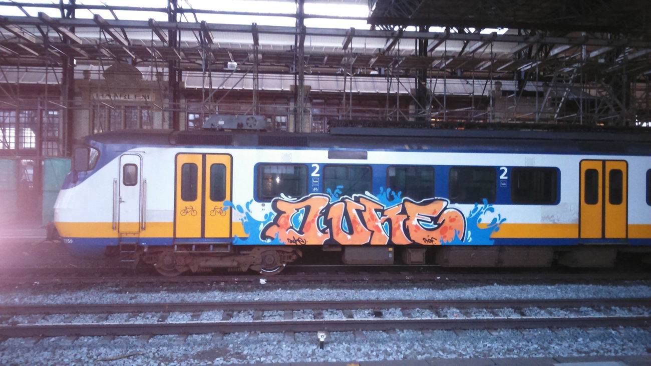 Graffiti Train - Photo by lecim
