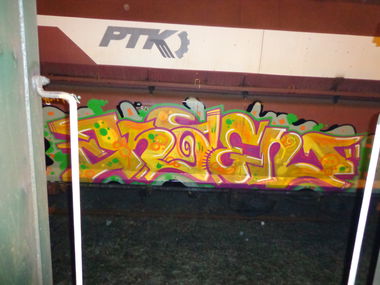 Graffiti Train - Photo by lecim (2012)