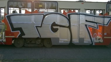 Graffiti Train - Photo by lecim