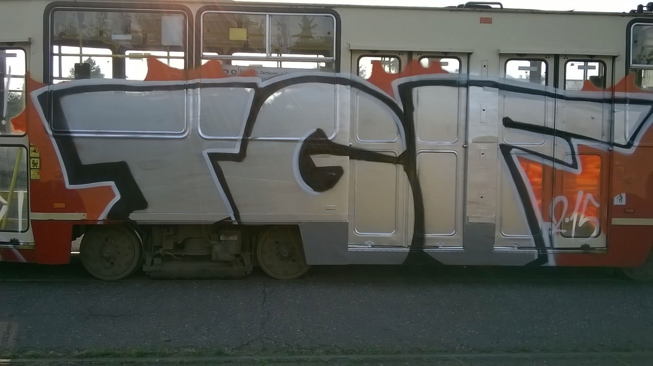 Graffiti Train - Photo by lecim