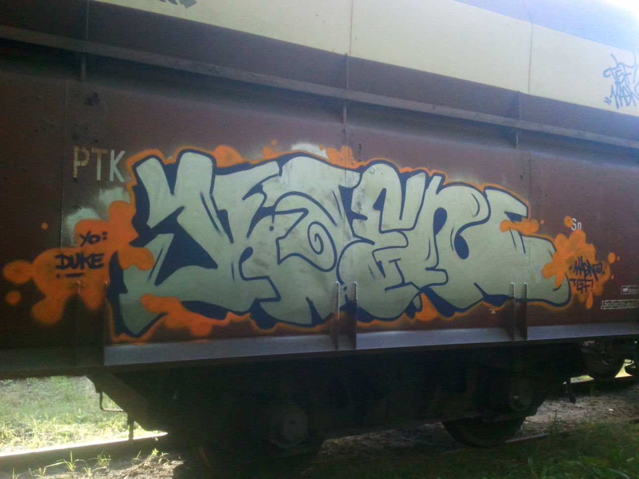 Graffiti Train - Photo by lecim (2011)