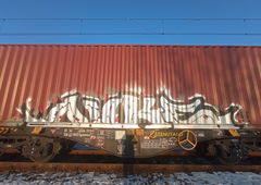 Graffiti Train - Photo by lecim (2026)