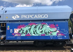 Graffiti Train in Poland - Photo by lecim - Dowód, uzależnienia, kontra (2022)