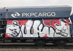 Graffiti Train - Photo by lecim (2022)