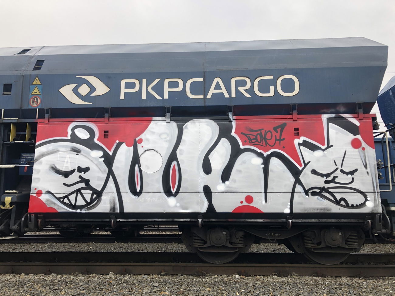 Graffiti Train - Photo by lecim (2022)