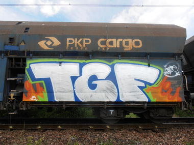 Graffiti Train - Photo by lecim