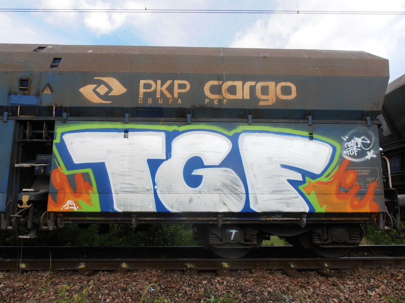 Graffiti Train - Photo by lecim