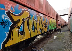 Graffiti Train in Nertherlad - Photo by lecim (2020)