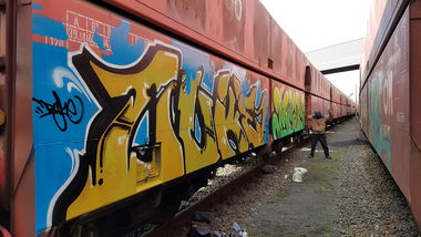 Graffiti Train in Nertherlad - Photo by lecim (2020)