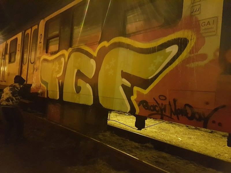 Graffiti Train - Photo by lecim (2017)