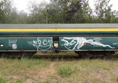 Photo #243408 by iobe1