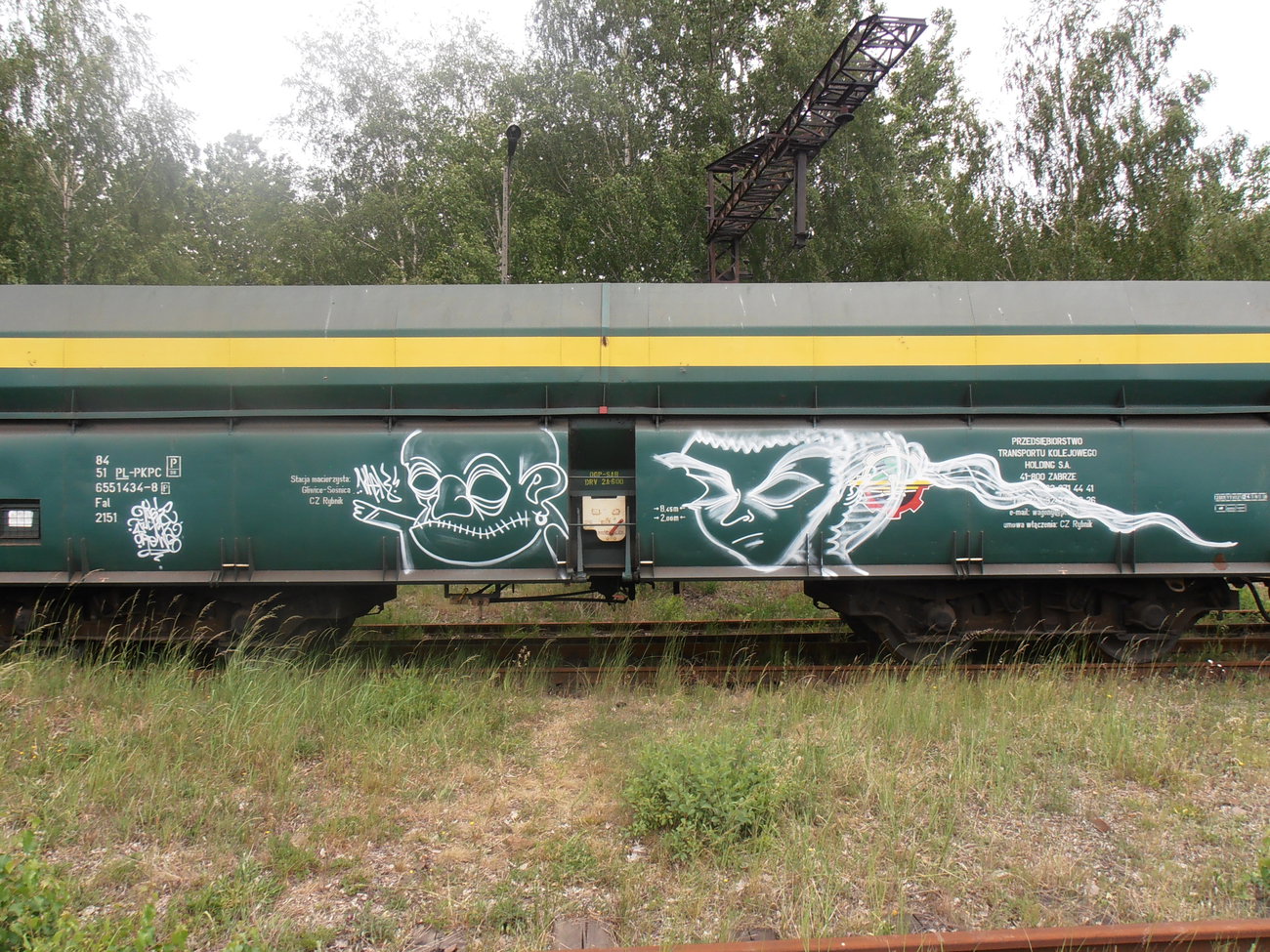 Graffiti Train - Photo by lecim (2012)