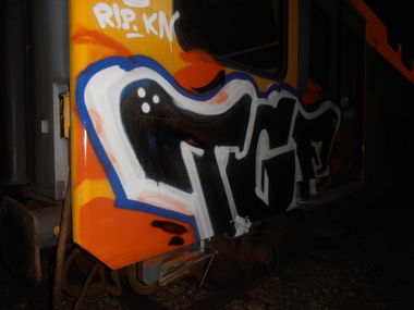 Graffiti Train - Photo by lecim