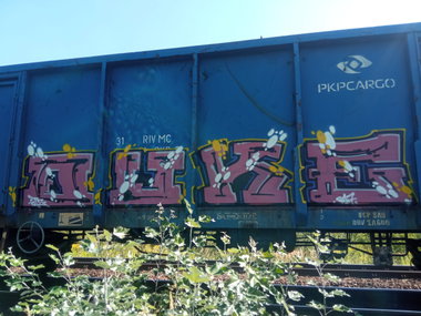 Graffiti Train - Photo by lecim (2026)