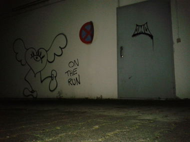 Graffiti Bombing in Wiesbaden - Photo by leminsc8 - cmc, freak., love (2014)