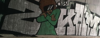 Graffiti Bombing - Photo by lemmiwinkz1 - zkam