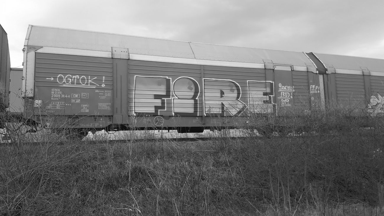 Graffiti Train - Photo by lemmuf