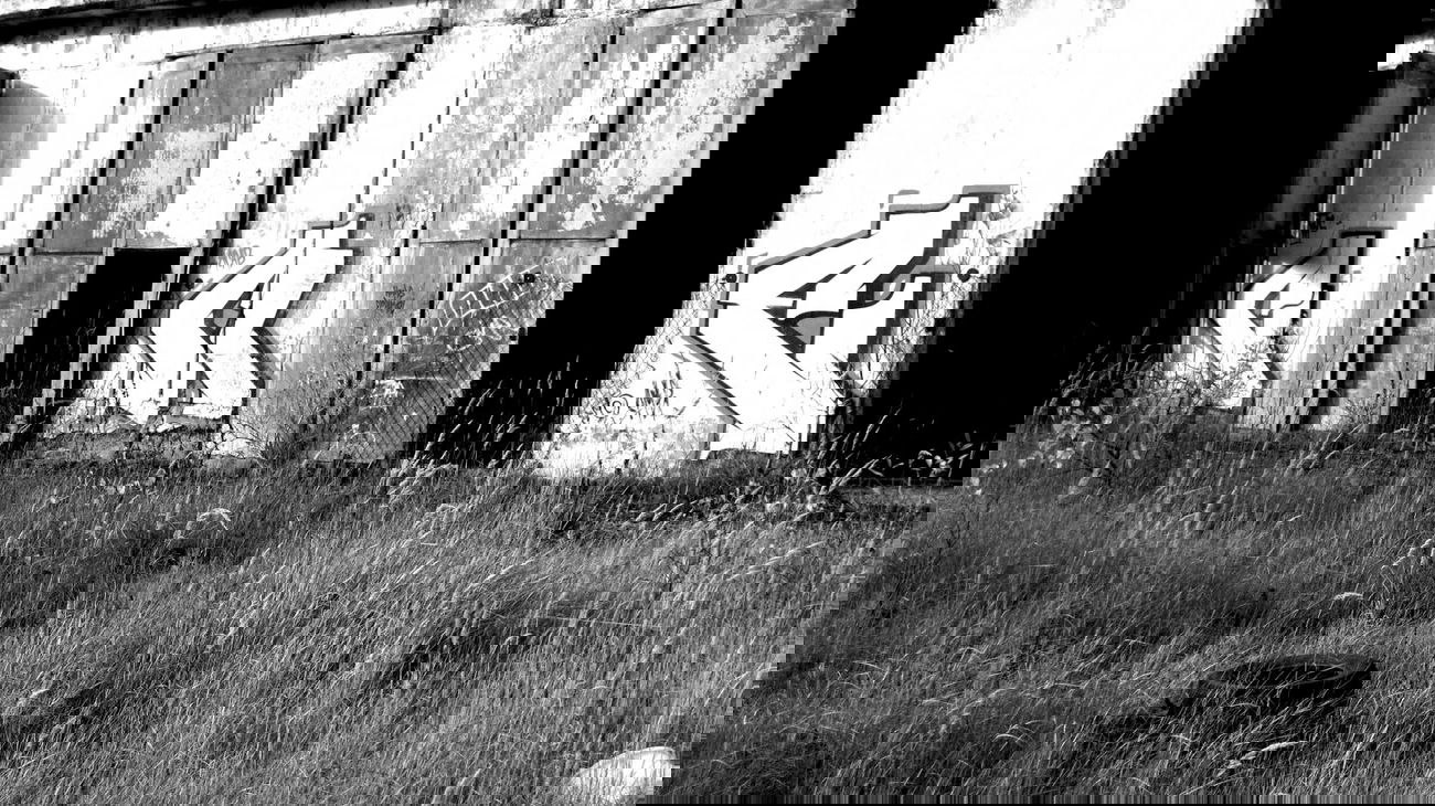 Graffiti Bombing - Photo by lemmuf