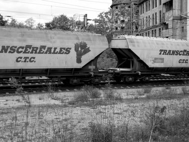 Graffiti Train - Photo by lemmuf