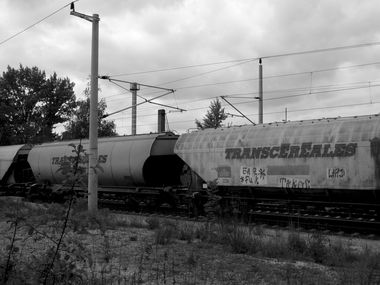 Graffiti Train - Photo by lemmuf